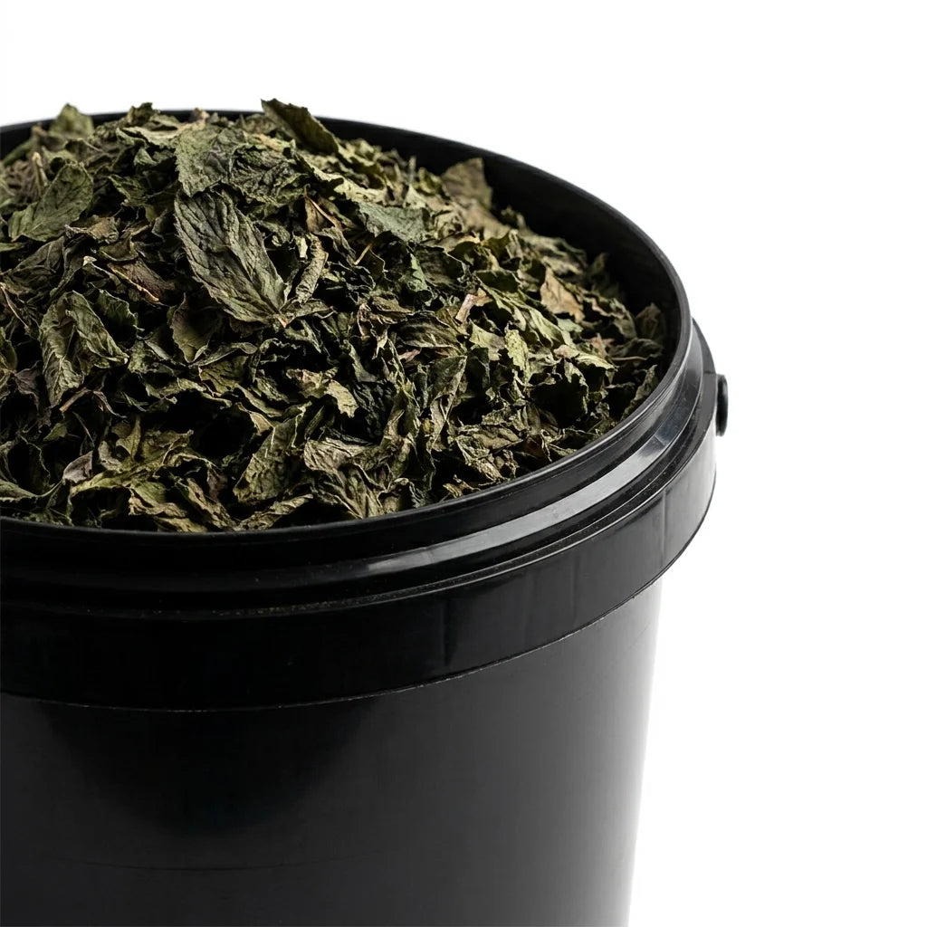 Menthe Douce Feuille BIO