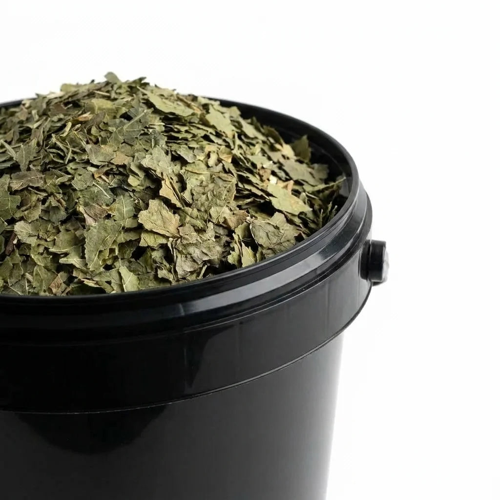 Mûrier Feuille Coupée BIO