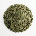 Mûrier Feuille Coupée BIO