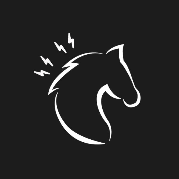 Articulations & Muscles du Cheval