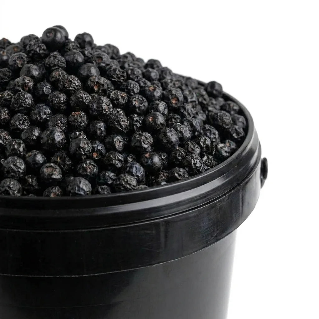 Myrtille Fruit BIO