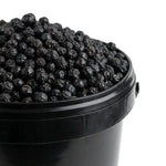 Myrtille Fruit BIO