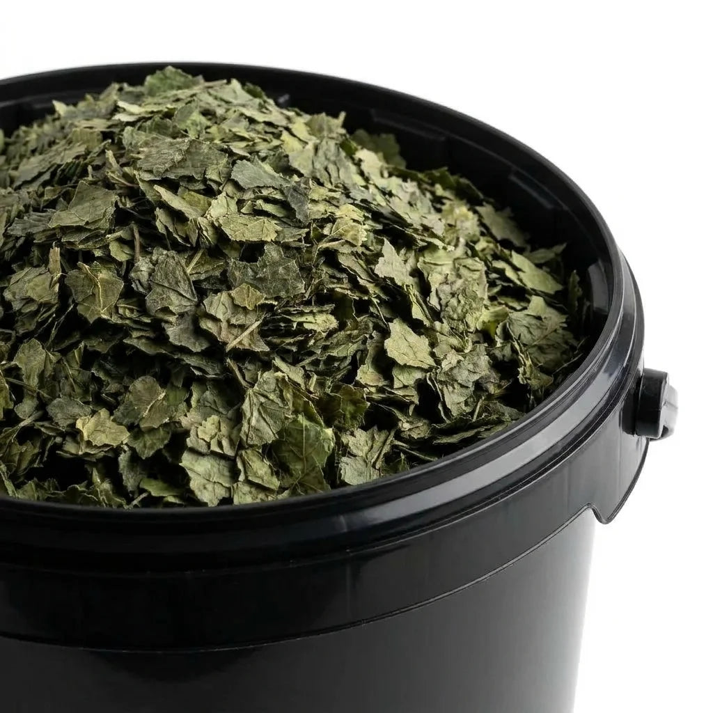 Ortie Feuille Coupée BIO