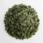 Ortie Feuille Coupée BIO