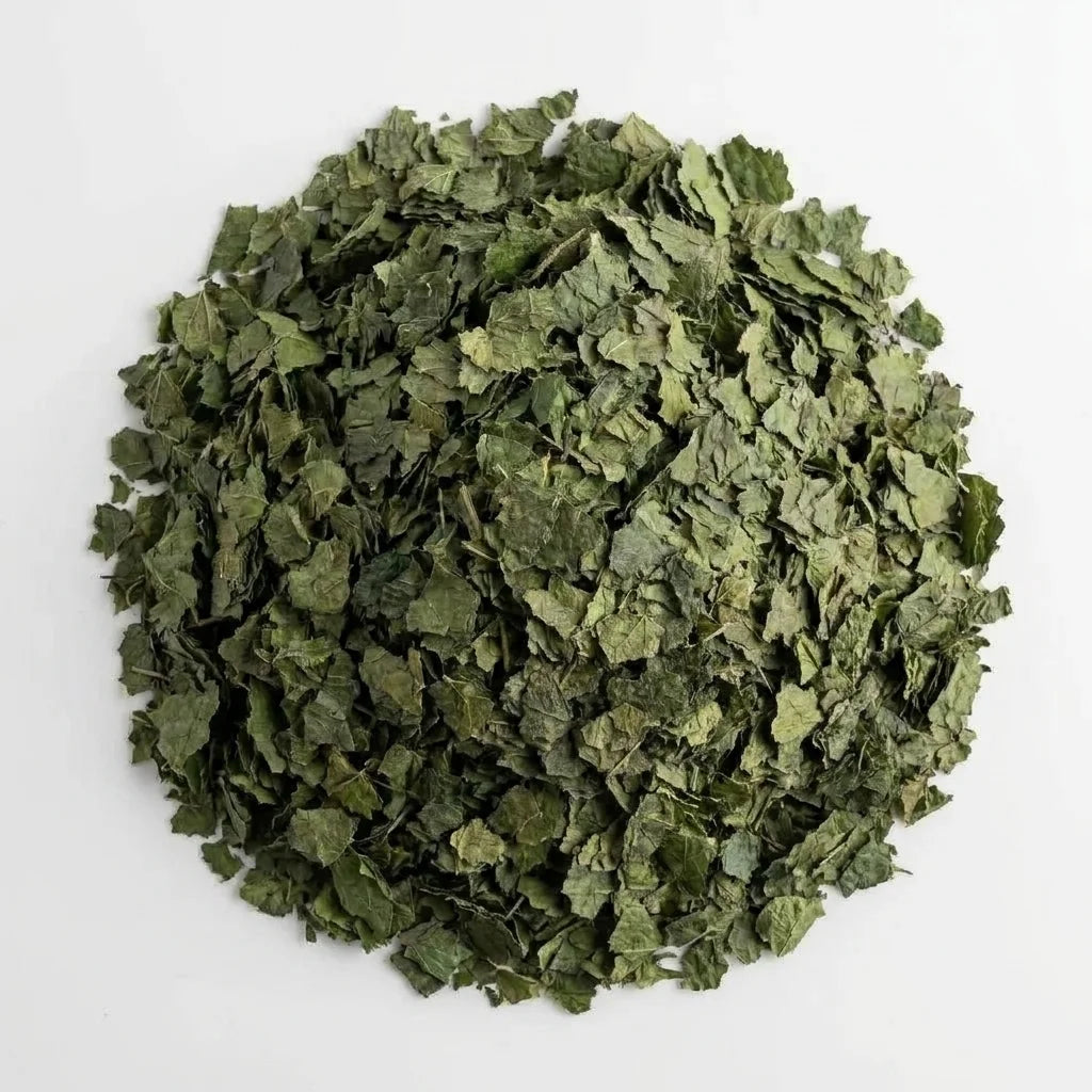 Ortie Feuille Coupée BIO