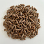 Pin Bourgeon Entier BIO
