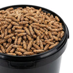Pin Bourgeon Entier BIO