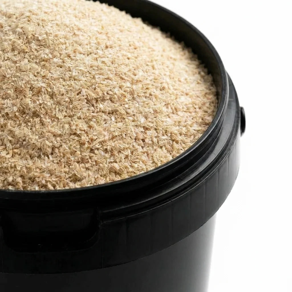 Psyllium Blond Tégument BIO