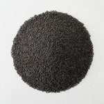 Psyllium Noir Graine BIO