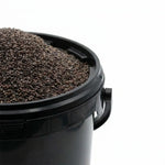Psyllium Noir Graine BIO