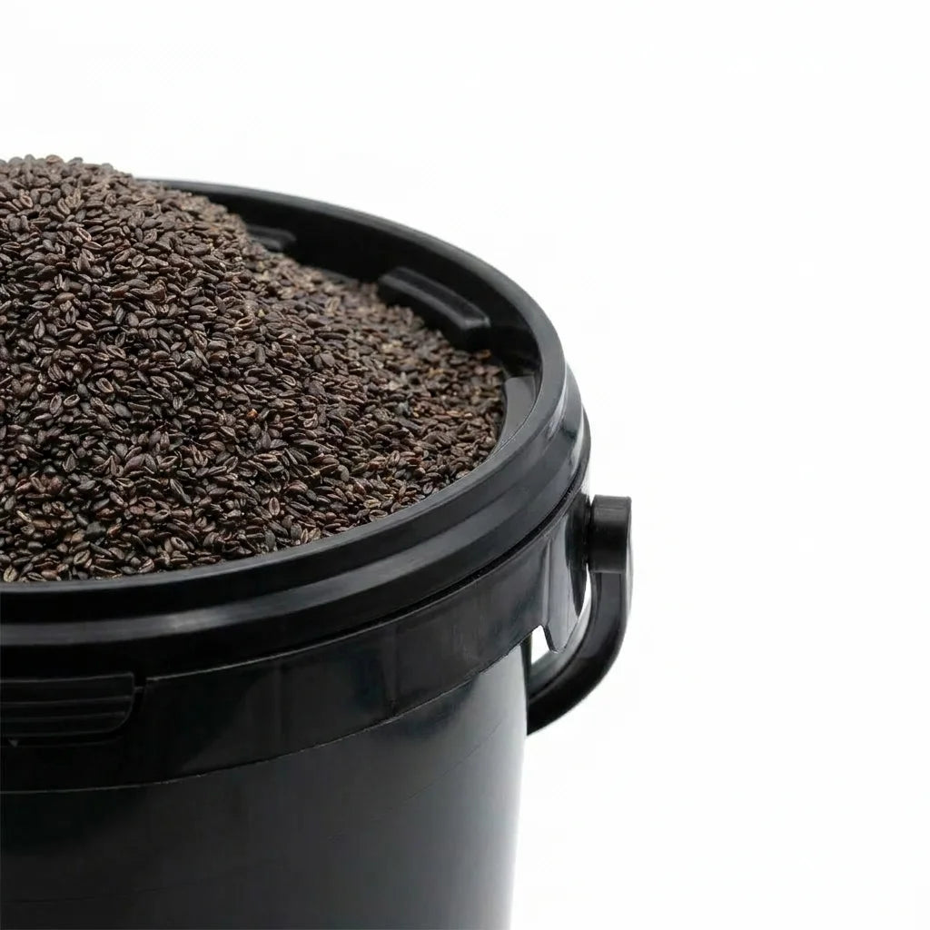 Psyllium Noir Graine BIO