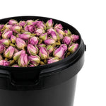 Rose Bouton BIO