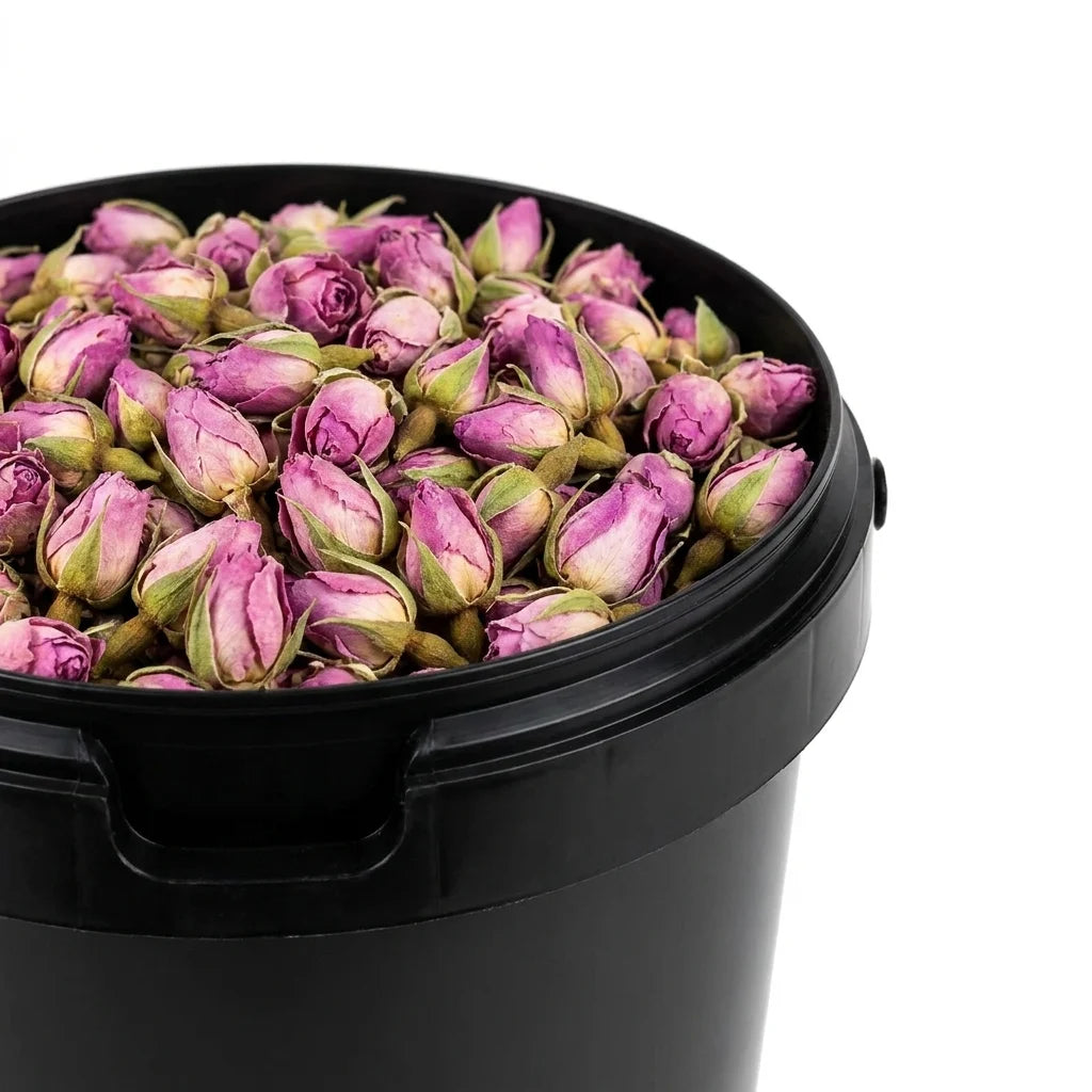 Rose Bouton BIO