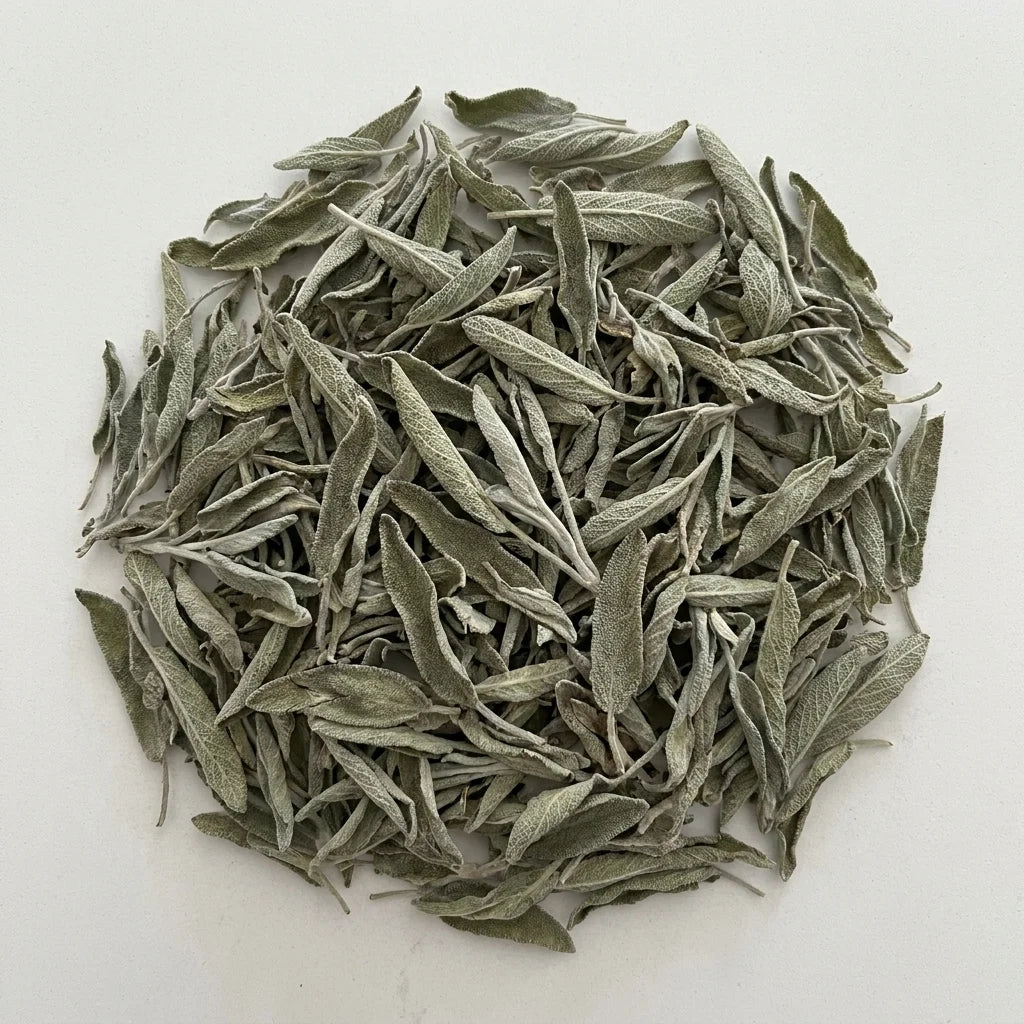 Sauge Officinale Feuille Entière BIO