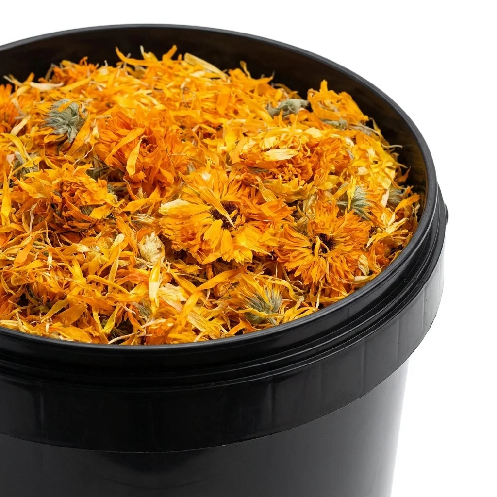 Souci - Calendula Fleur Entière BIO