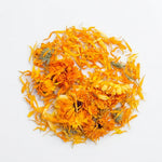 Souci - Calendula Fleur Entière BIO