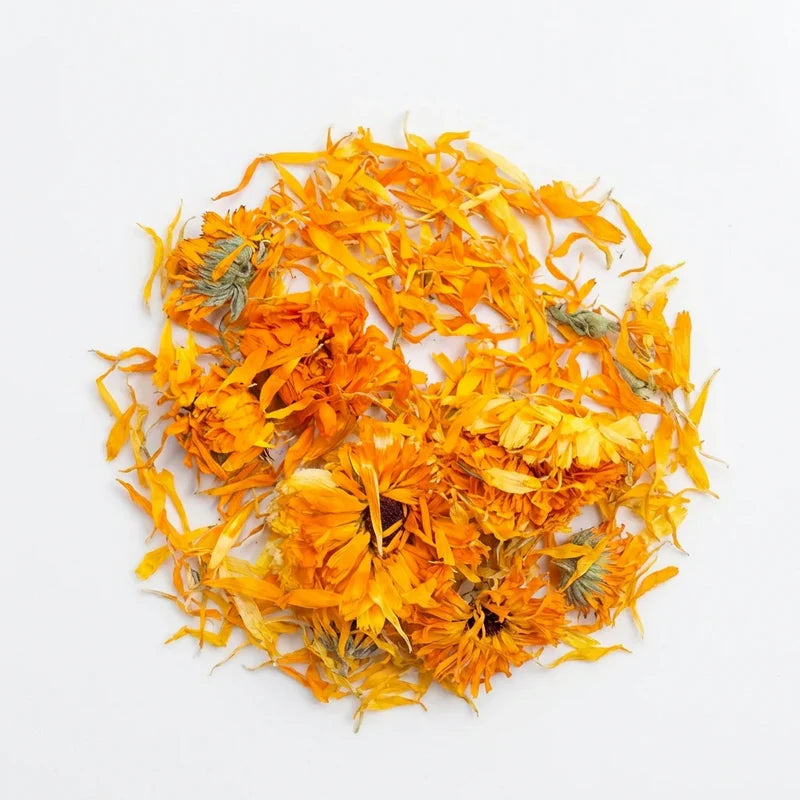 Souci - Calendula Fleur Entière BIO