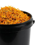 Souci - Calendula Pétale BIO