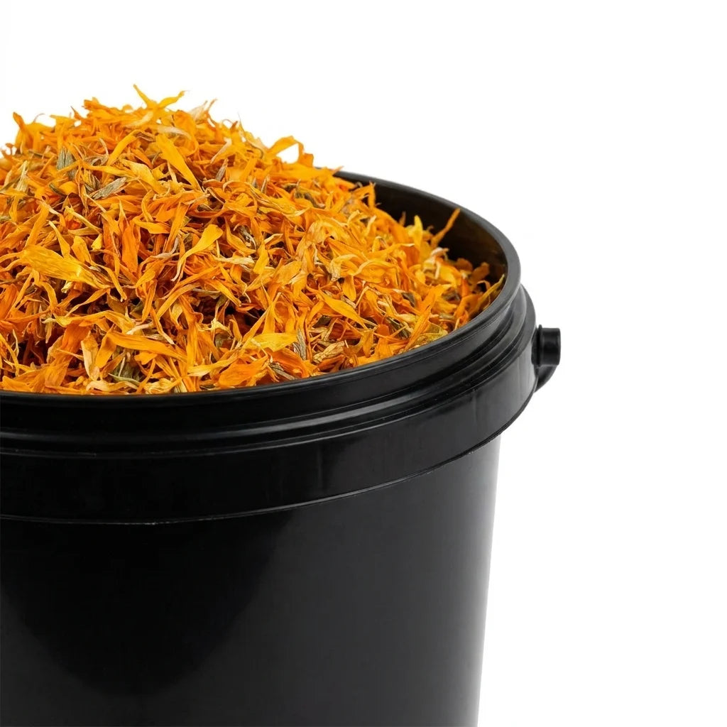 Souci - Calendula Pétale BIO