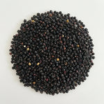 Sureau Fruit BIO