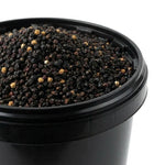Sureau Fruit BIO