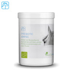 Amidon Prébiotique
