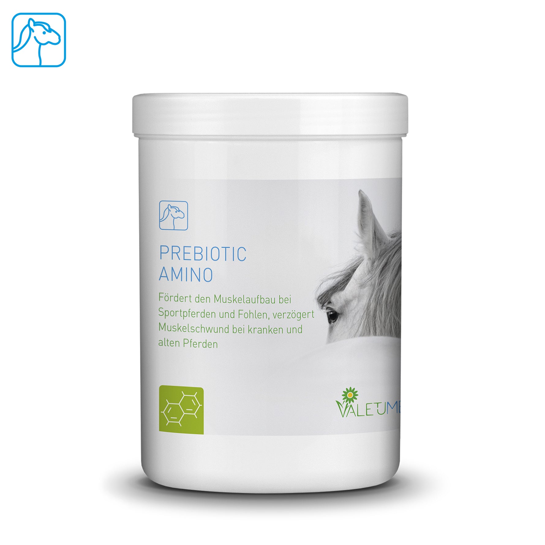 Amidon Prébiotique