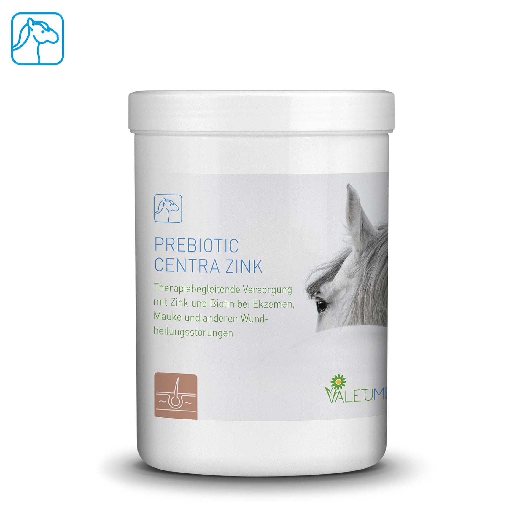 Centra Zinc Prébiotique