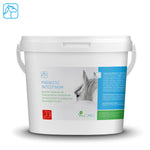 Intestin Prébiotique