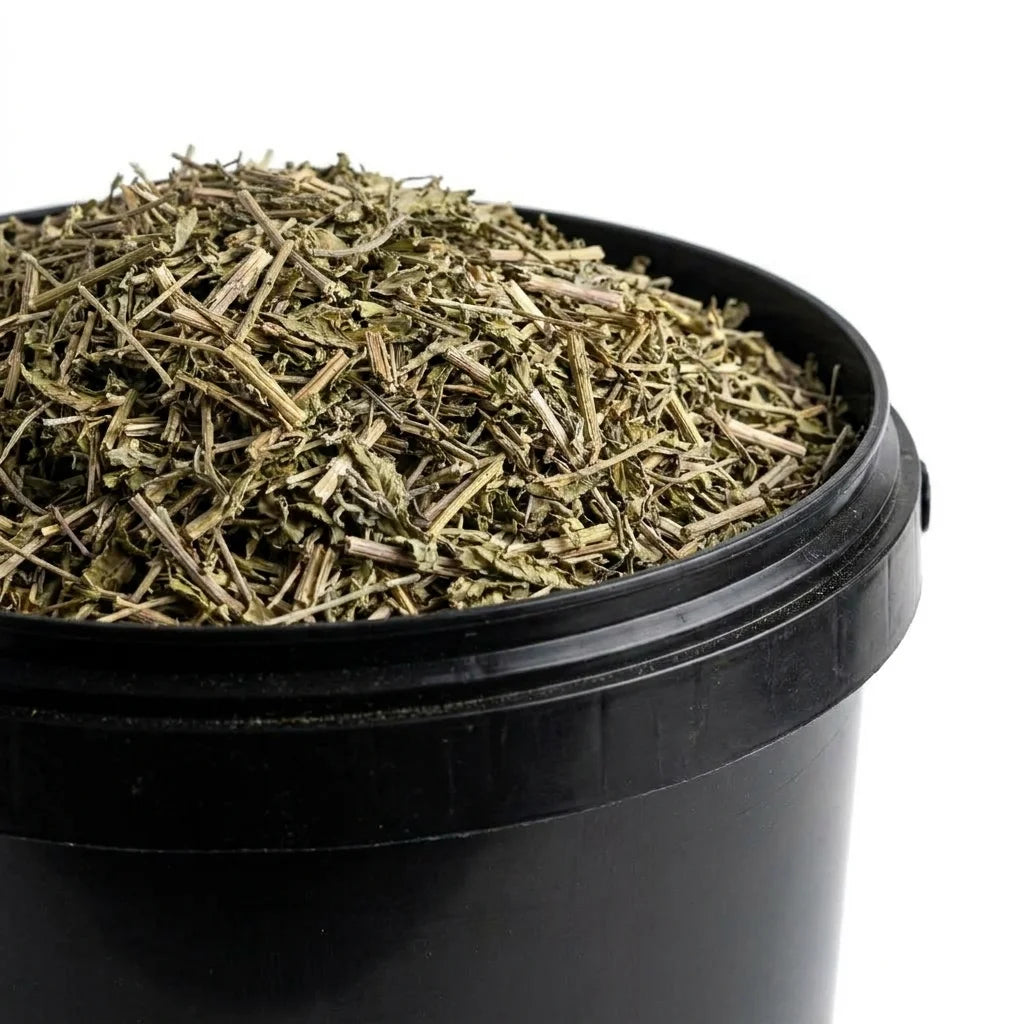 Verveine Officinale Partie Aérienne Coupée BIO
