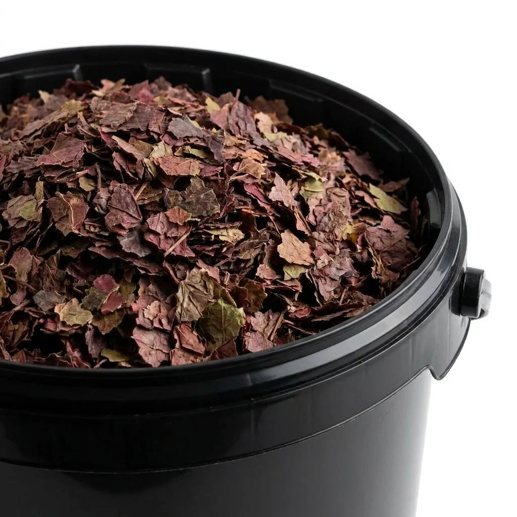 Vigne Rouge Feuille Coupée BIO